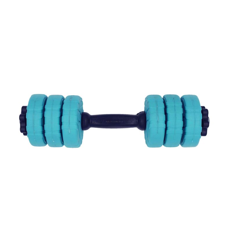 دمبل گرد قابل تنظیم وزن 3 کیلوگرم رادیس فیت مدل dvp 3 0500 one handle